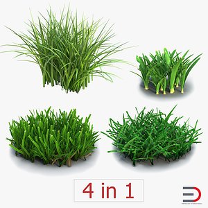 grass set field 3d model