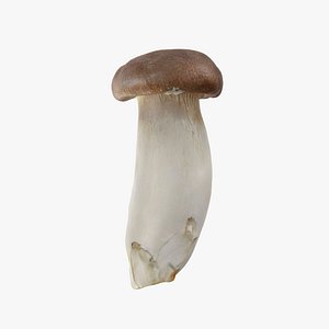 King Mushroom - Photo Scan