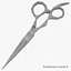 Scissors 2