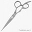 Scissors 2
