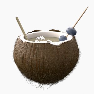 Coconut Cocktail 3D