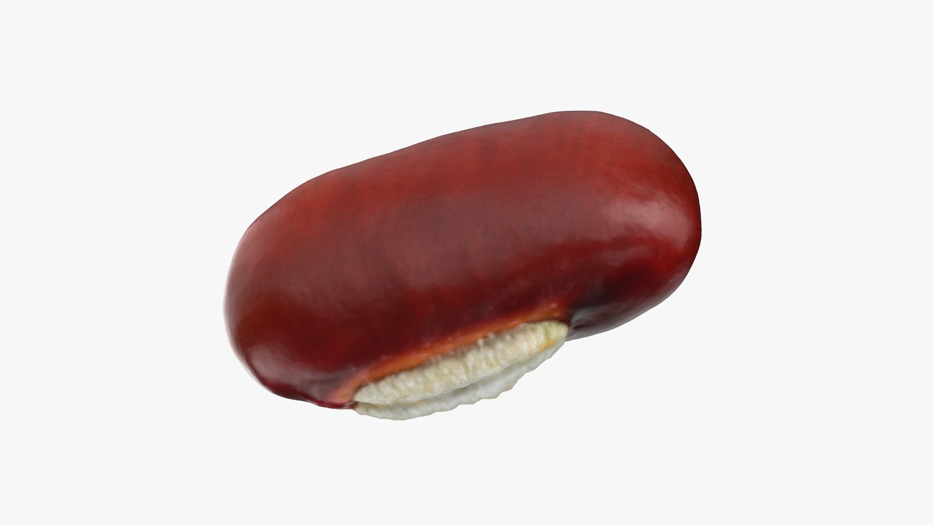 3D Adzuki Bean - Raw Scan model https://p.turbosquid.com/ts-thumb/nm/t2U5qh/rY/adzukibean_0001/png/1764015649/1920x1080/fit_q87/f2f59c2b2525c34553b700243e20f26d9193651b/adzukibean_0001.jpg