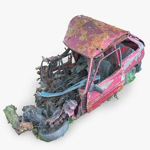 Burned Car Wreck 20