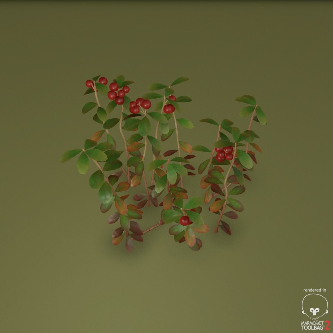cowberry max https://p.turbosquid.com/ts-thumb/nn/1gL1rQ/5lC1fzF9/screenshot001/jpg/1477304430/1920x1080/fit_q87/a3250f452781a4e719526f11d4e52ee13d6b5241/screenshot001.jpg