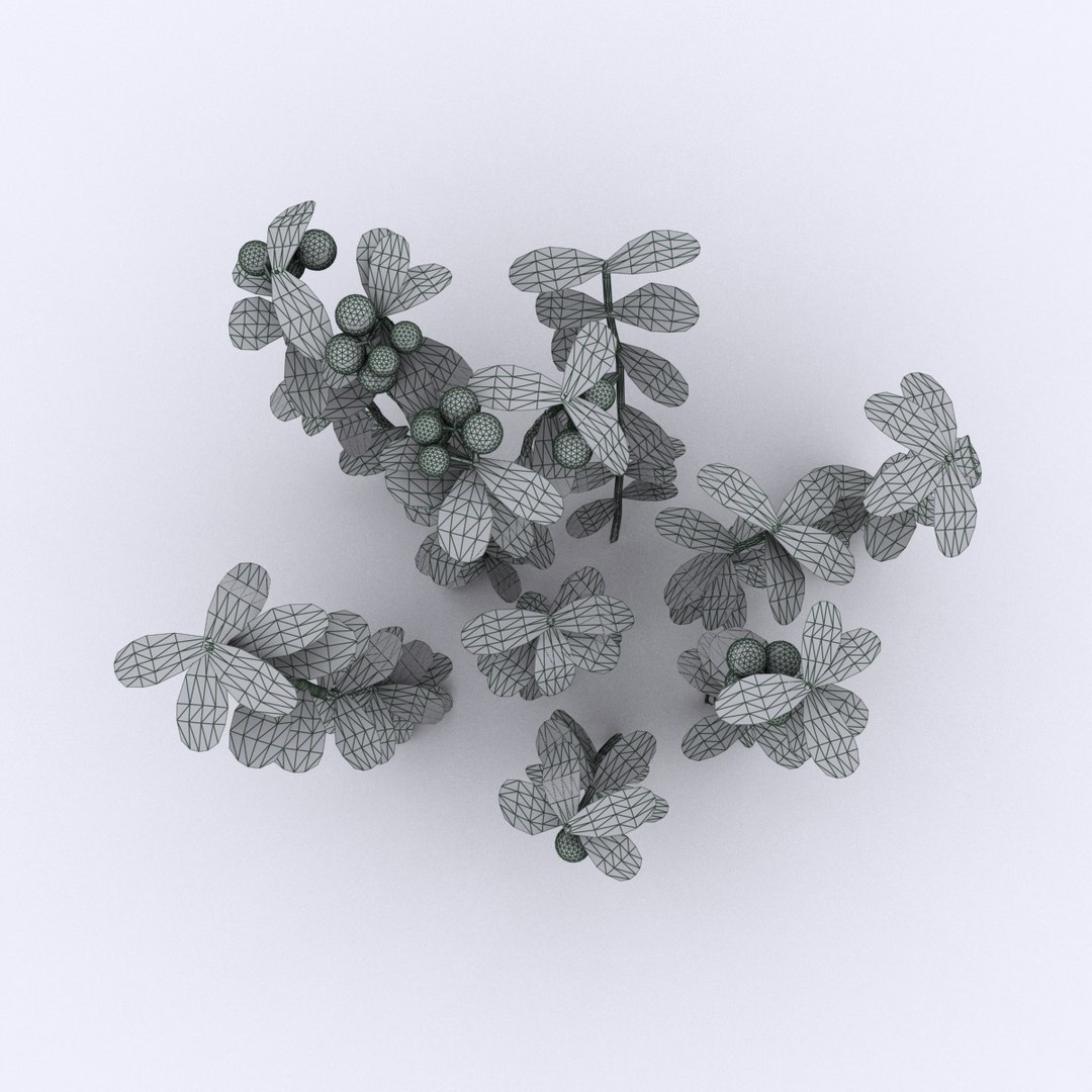 cowberry max https://p.turbosquid.com/ts-thumb/nn/1gL1rQ/RRg3FZ52/wire02/jpg/1477304466/1920x1080/fit_q87/310cb4513f4897cd90dd076cb8fadb5b2d905853/wire02.jpg