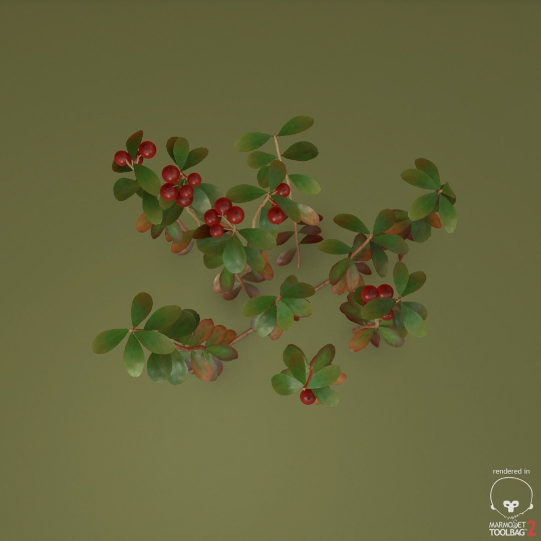 cowberry max https://p.turbosquid.com/ts-thumb/nn/1gL1rQ/WApbOL0c/screenshot000/jpg/1477304430/1920x1080/fit_q87/e3b2bbd8e80338f0c827eee53f517952fb398db7/screenshot000.jpg