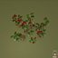 Cowberry