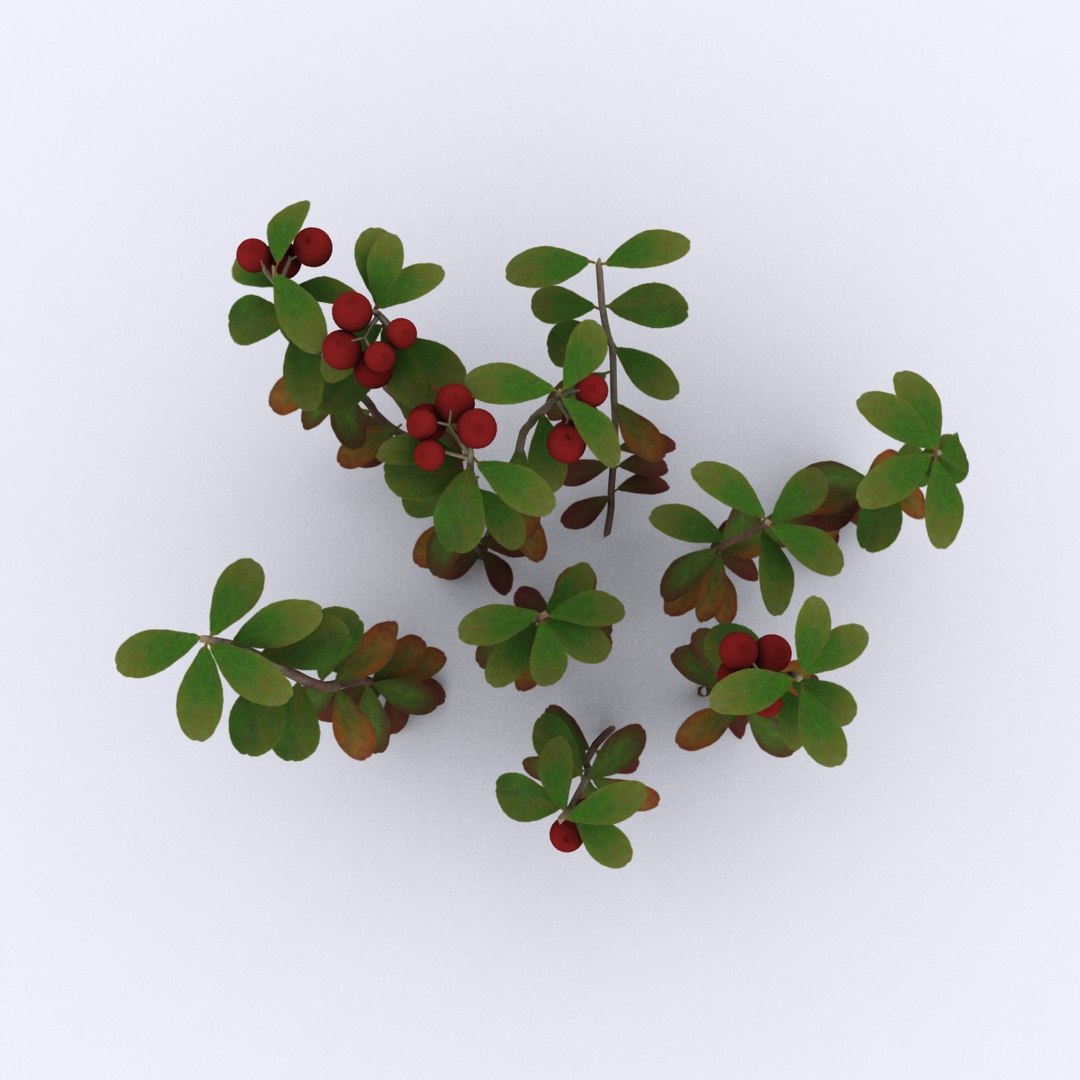 cowberry max https://p.turbosquid.com/ts-thumb/nn/1gL1rQ/cbeur2A5/sign02/jpg/1477304425/1920x1080/fit_q87/5984512723da7cea3556490c4ceef4ed4b9caadd/sign02.jpg
