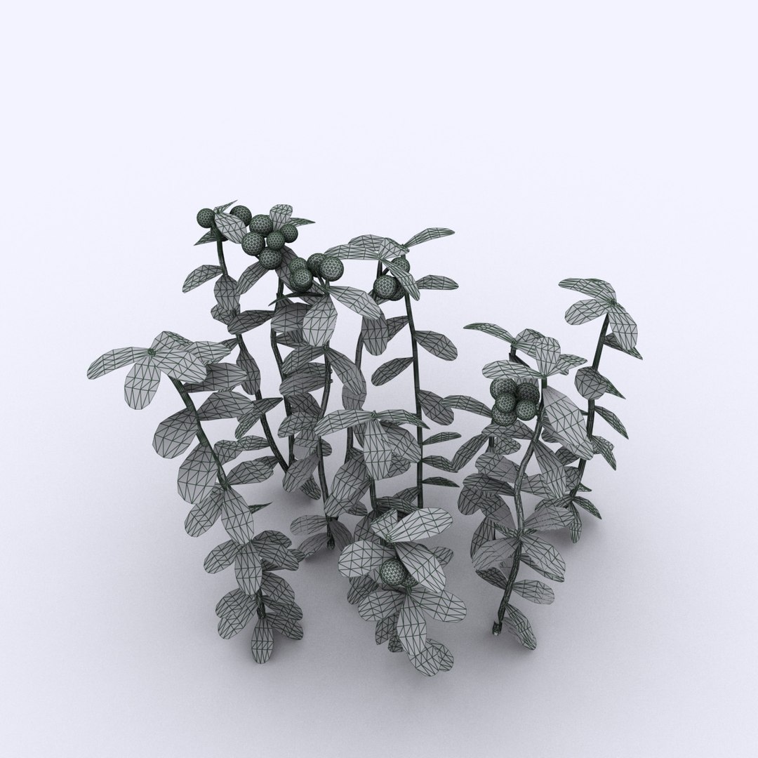 cowberry max https://p.turbosquid.com/ts-thumb/nn/1gL1rQ/ovrVncp0/wire01/jpg/1477304466/1920x1080/fit_q87/1fbb24b58d053ad3ce6aafad82c0f6060d97656f/wire01.jpg