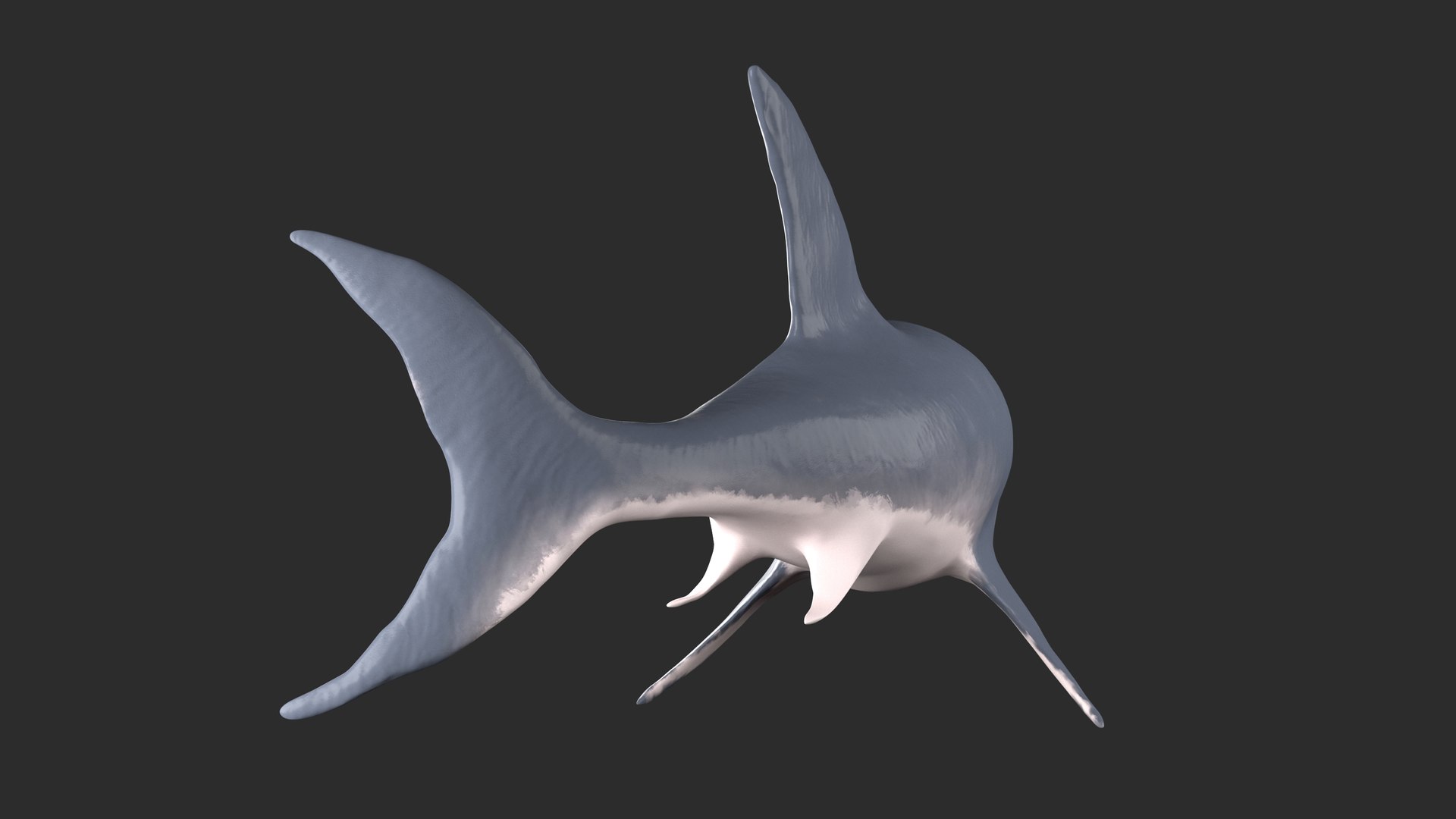 3D toothless shark model https://p.turbosquid.com/ts-thumb/nn/26PC7p/LuZWGyGR/6/jpg/1598032272/1920x1080/fit_q87/80ff360be3dd2659a04b3b20dfc70463f31a1f62/6.jpg