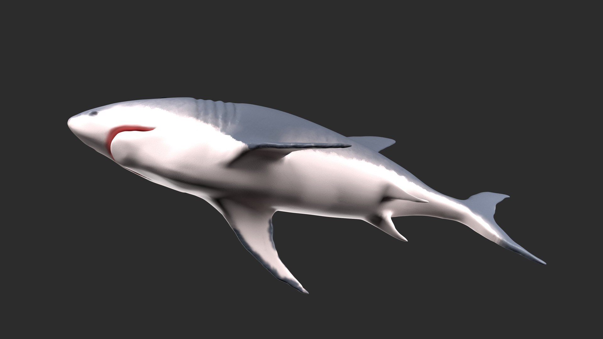 3D toothless shark model https://p.turbosquid.com/ts-thumb/nn/26PC7p/wCOchRMa/4/jpg/1598032256/1920x1080/fit_q87/89cfe50dfd3fd881684073569deda6e4d92ab053/4.jpg