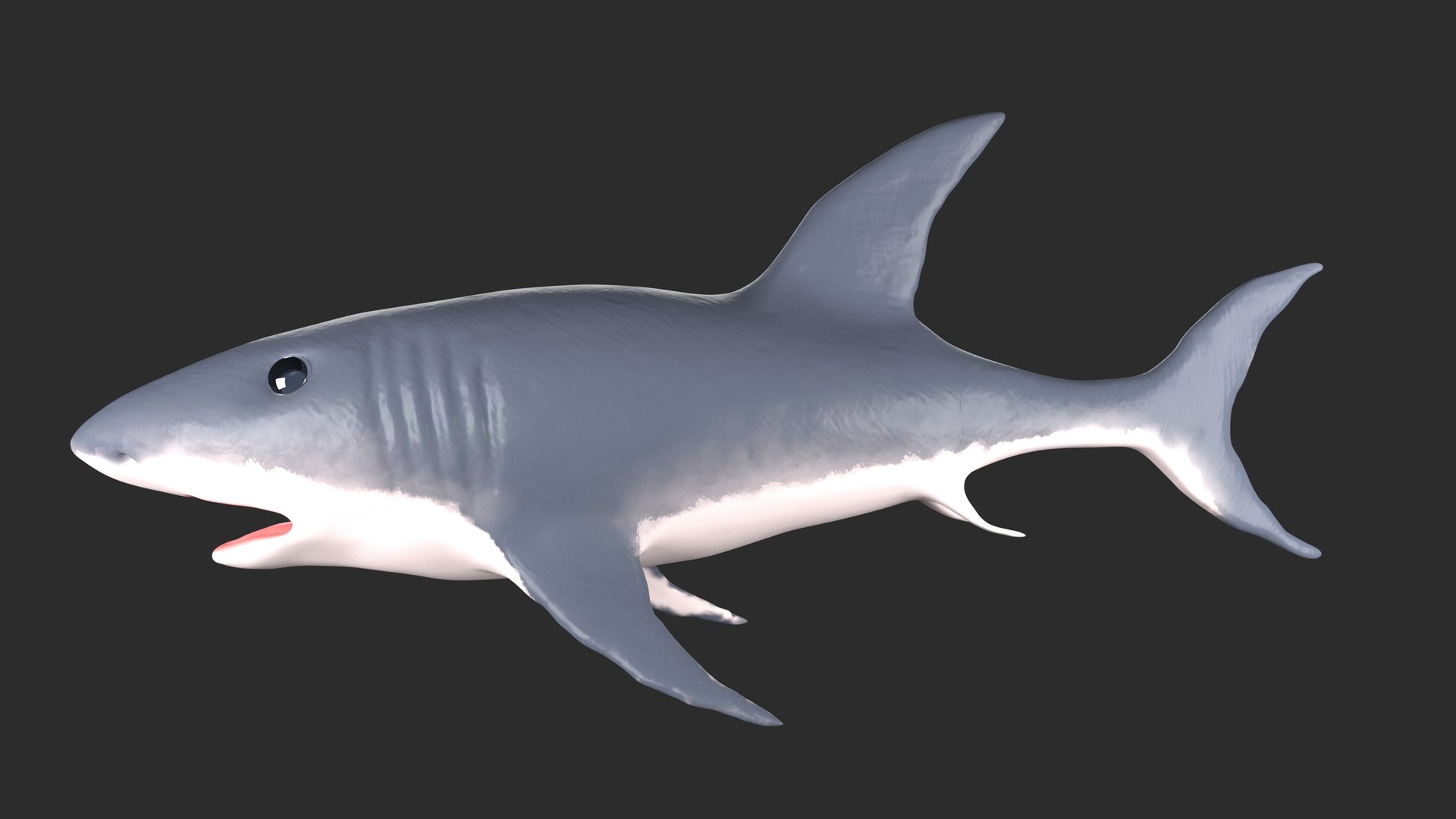 3D toothless shark model https://p.turbosquid.com/ts-thumb/nn/26PC7p/z6j92a2Z/2/jpg/1598032280/1920x1080/fit_q87/0cc1b22d67d72f6aadaa991c21158d48fc3d7b3a/2.jpg