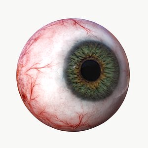 Realtime Eyeball - Eye