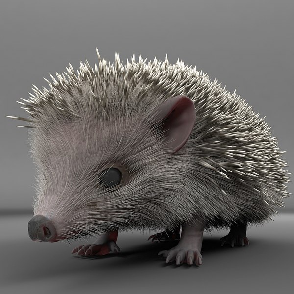 hedgehog modelled 3d model