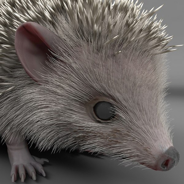 hedgehog modelled 3d model