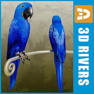 3ds max blue parrot birds
