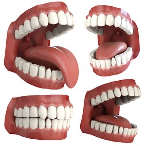 Mouth Rig 3D Models for Download | TurboSquid