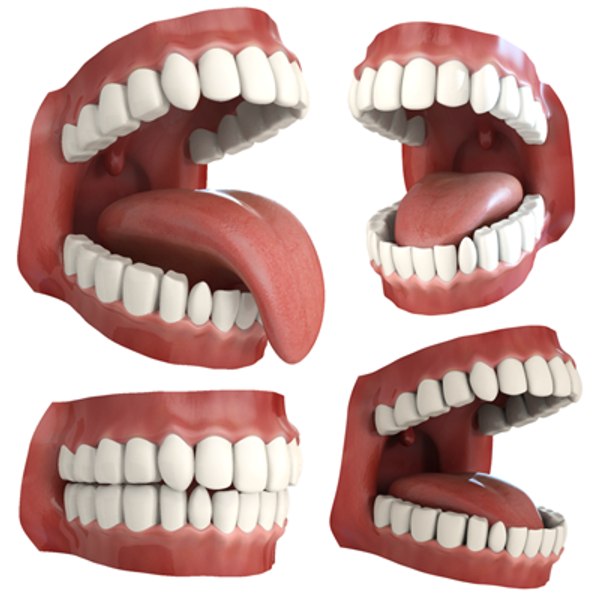 modelo 3d boca animada - TurboSquid 272407 modelo 3d boca animada - TurboSquid 272407