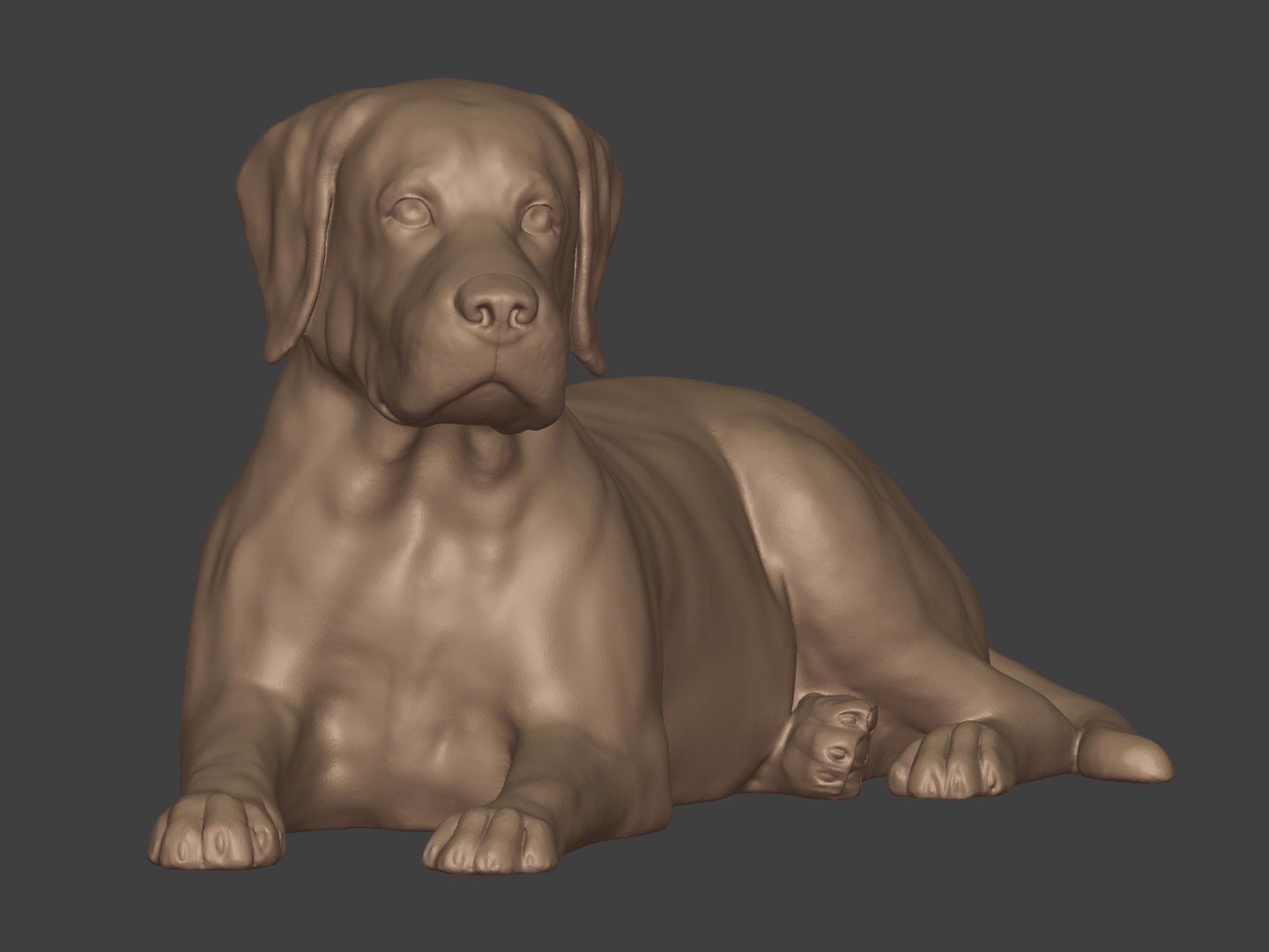 3D Dog Statue - Labrador https://p.turbosquid.com/ts-thumb/no/1C6YXQ/LL/i4/jpg/1686160248/1920x1080/fit_q87/234c4355a04f31b513e5d9c51871ada7300c3e6c/i4.jpg