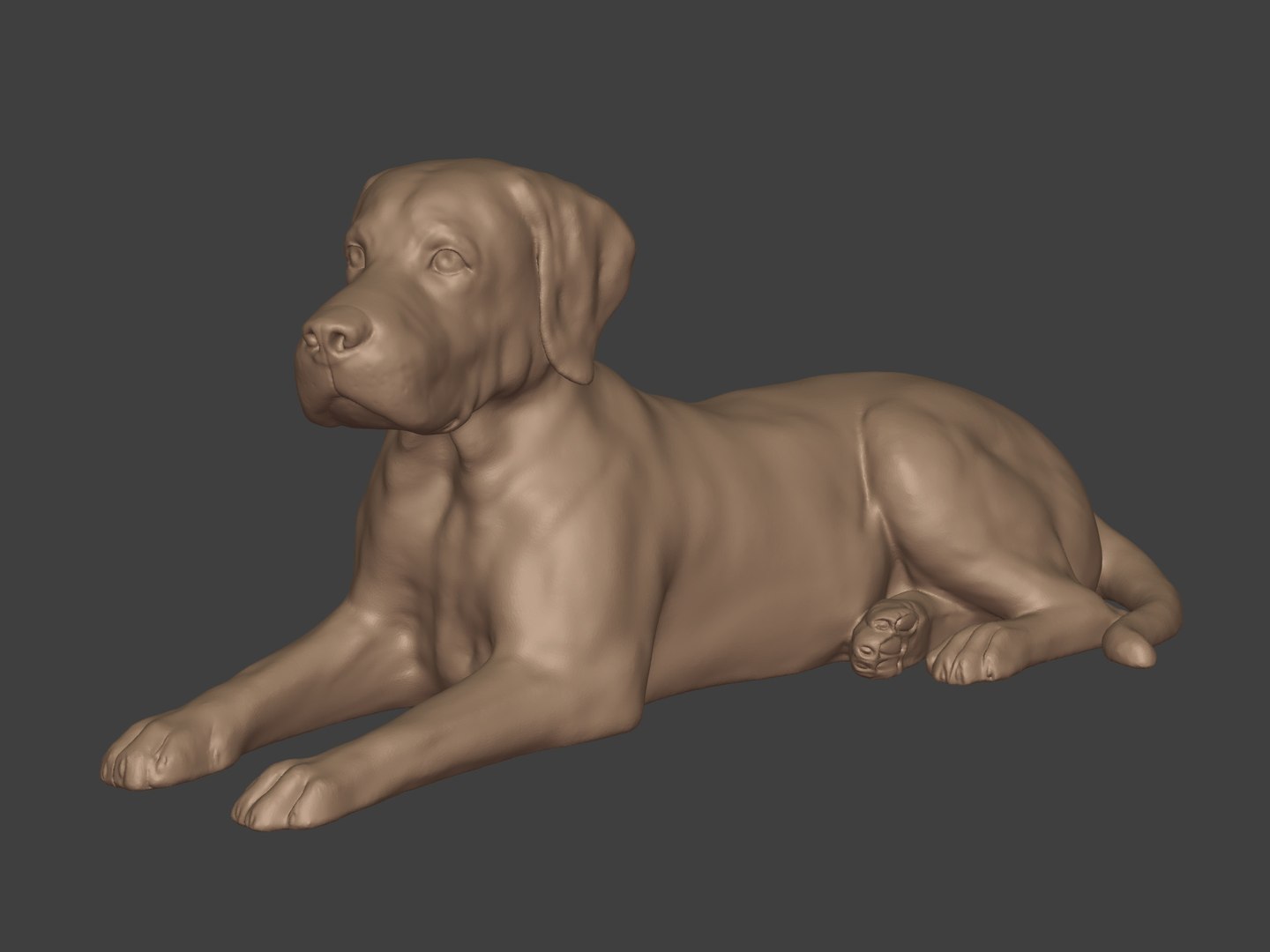 3D Dog Statue - Labrador https://p.turbosquid.com/ts-thumb/no/1C6YXQ/Ld/i2/jpg/1686160247/1920x1080/fit_q87/622d02073dcc2bbf8c58c98840923447690aad5b/i2.jpg
