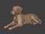 Dog Statue -- Labrador -- Ready for 3D Printing