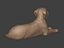 Dog Statue -- Labrador -- Ready for 3D Printing