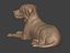 Dog Statue -- Labrador -- Ready for 3D Printing
