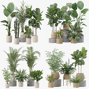 20 Photorealistic Flowers for Interiors - set 201 209 213 214 3D model