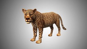 3D leopard cheetah model