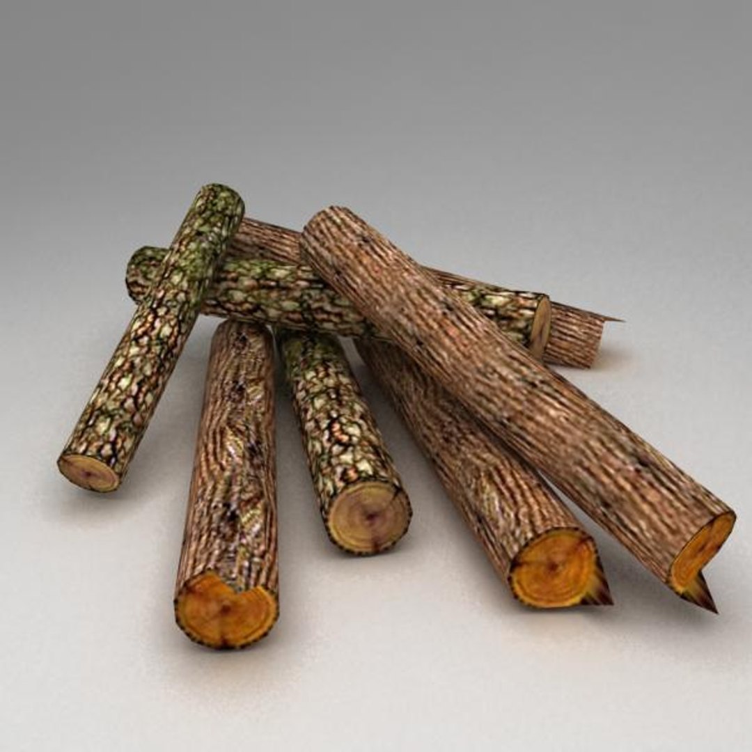 3d logs model
