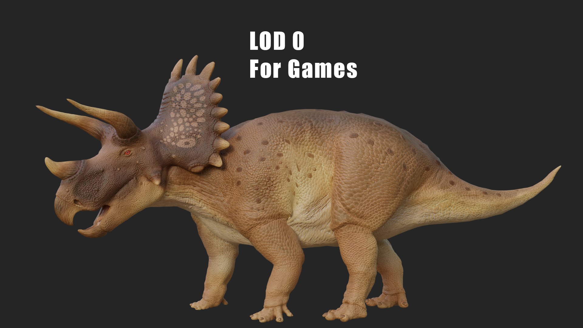 Triceratops 3D https://p.turbosquid.com/ts-thumb/no/ZNMpf0/B6/w4/png/1748772998/1920x1080/fit_q87/2e1697a67d6bc2b471f1a450e70a74fd6c7fc7eb/w4.jpg
