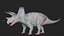 Triceratops 3D