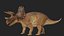 Triceratops 3D