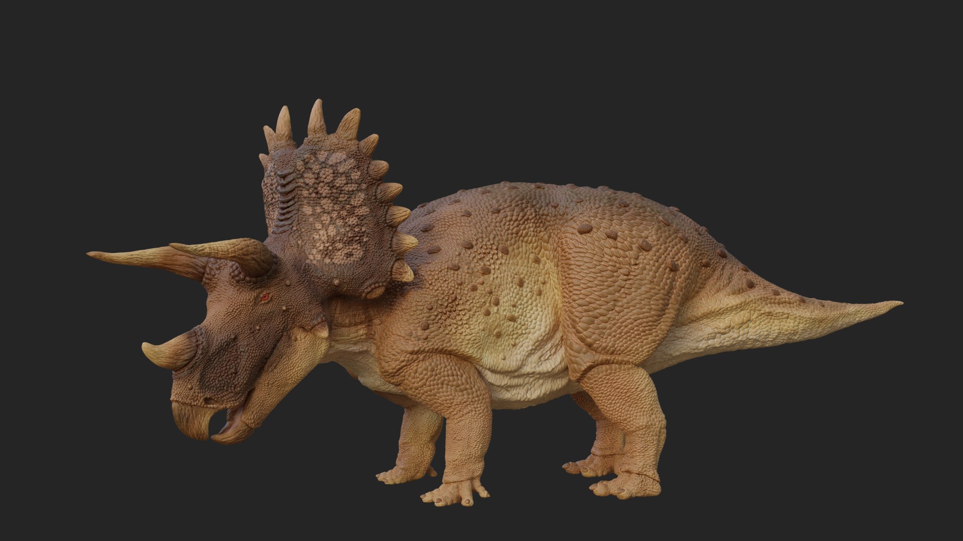 Triceratops 3D https://p.turbosquid.com/ts-thumb/no/ZNMpf0/T7/4/png/1748773013/1920x1080/fit_q87/7bafda8ec5400c19e80dd2d0d8674c47577faf1d/4.jpg