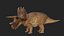 Triceratops 3D