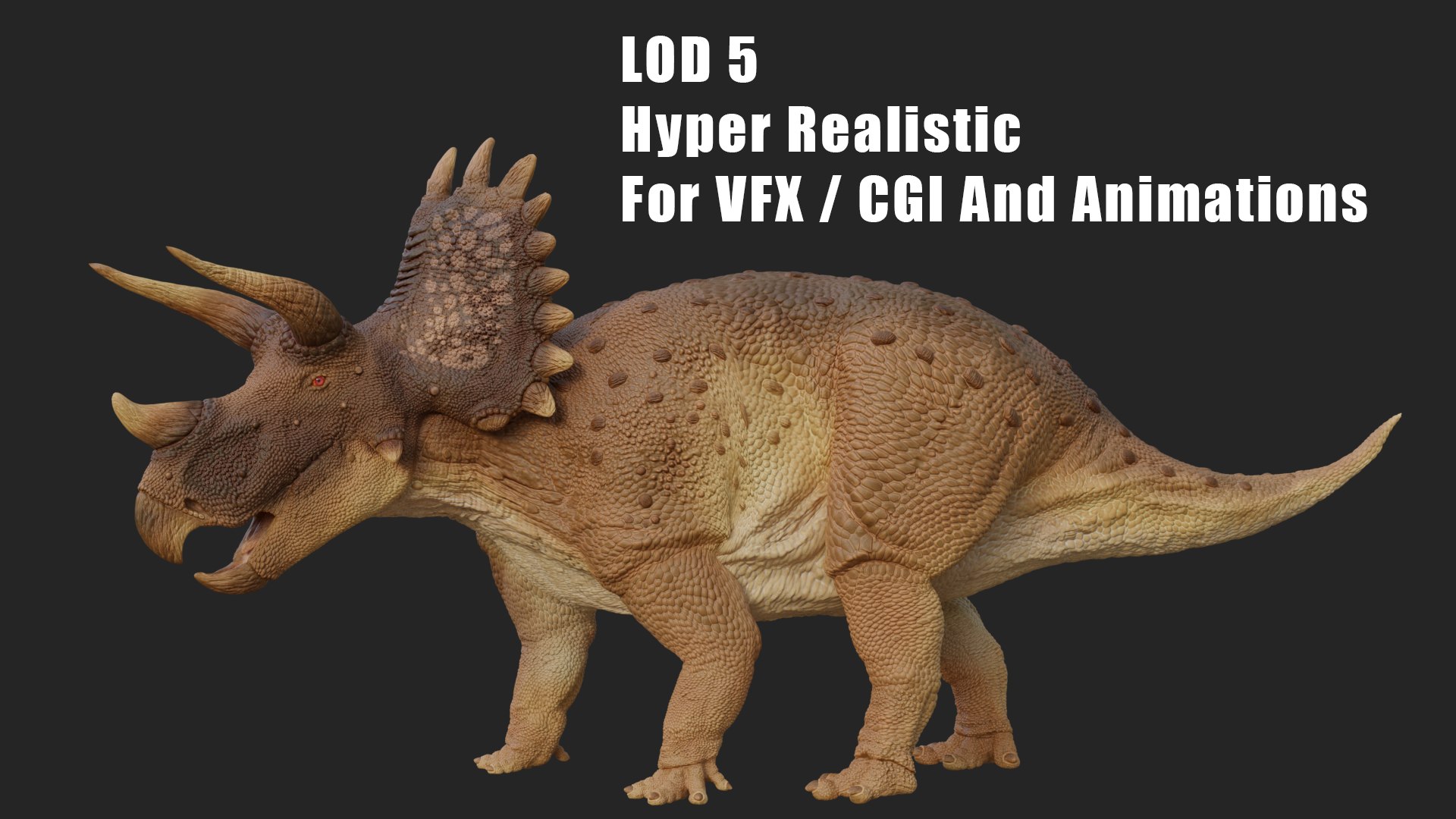 Triceratops 3D https://p.turbosquid.com/ts-thumb/no/ZNMpf0/Y2/w3/png/1748772991/1920x1080/fit_q87/d44df9a6ad82c77a429711e6c62f89140cdf6264/w3.jpg