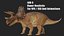 Triceratops 3D