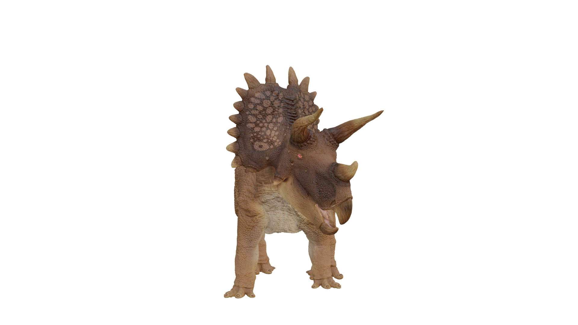 Triceratops 3D https://p.turbosquid.com/ts-thumb/no/ZNMpf0/YX/image/png/1745350303/1920x1080/turn_fit_q99/a0b6c6a8d94ee5e85d35968e46dcb89e4110a72e/image-1.jpg