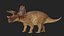 Triceratops 3D
