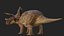 Triceratops 3D