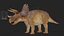 Triceratops 3D
