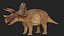 Triceratops 3D
