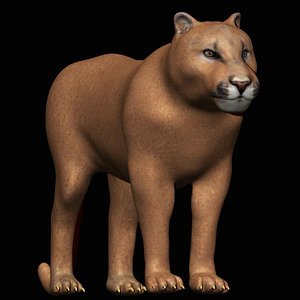 3D fully rigged cougar model