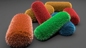 fuzzy pillows 3D model