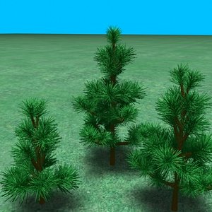 3_small_pines
