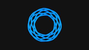 3D model Torus Knot 14