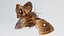 3D ANIMATED MOTH BUTTERFLY model