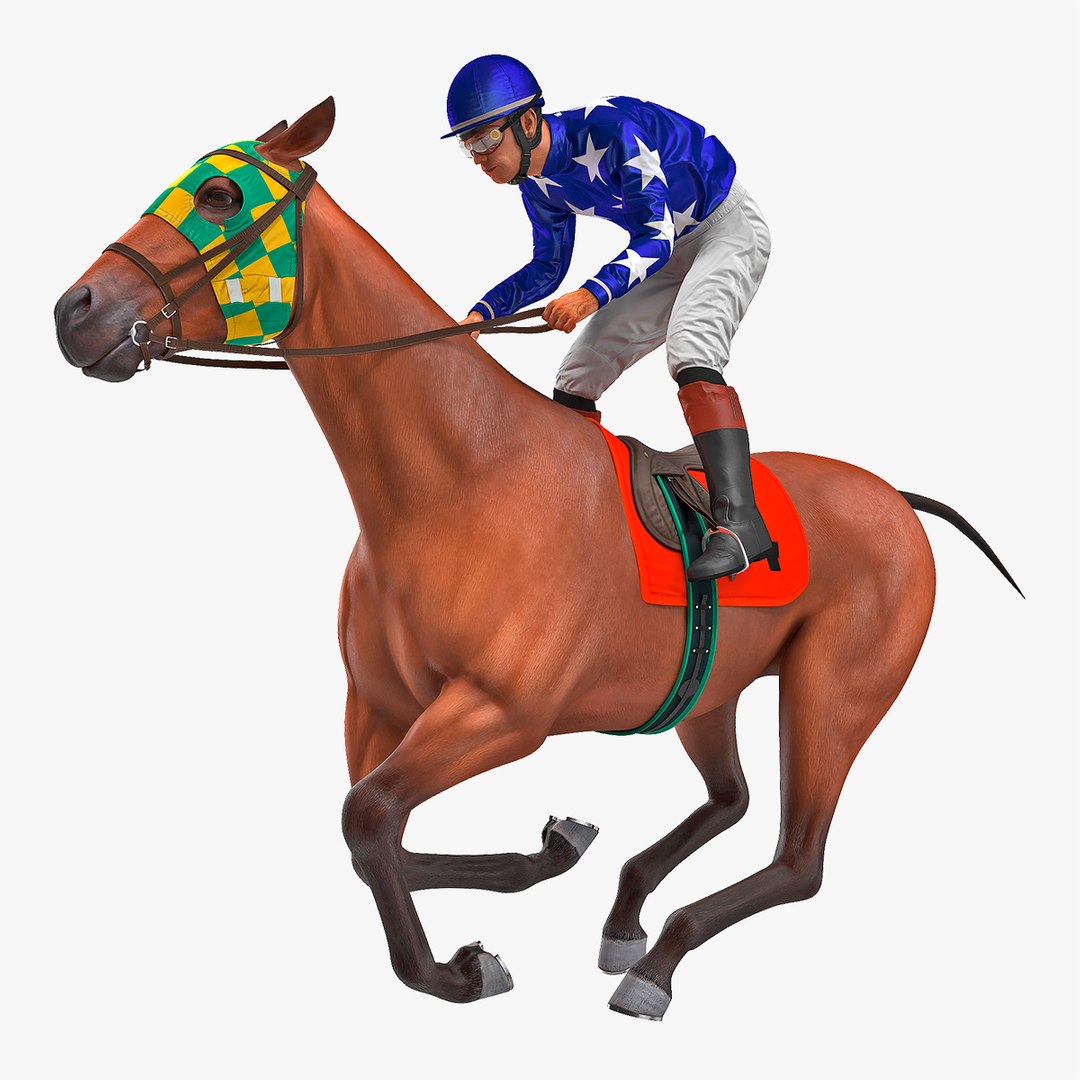 Bay Racing Horse with Jokey Gallop 3D model preview