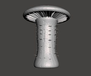 3D fungus macrocybe titans model