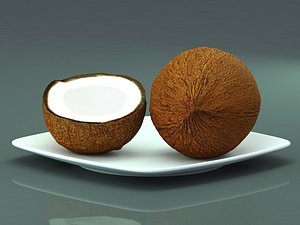 Coconut 3dmodel 3D model
